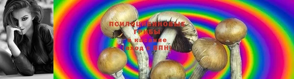 спайс Белокуриха