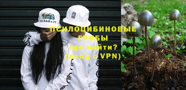 спайс Белокуриха