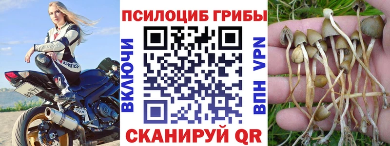 Галлюциногенные грибы Magic Shrooms  где найти   Бородино 